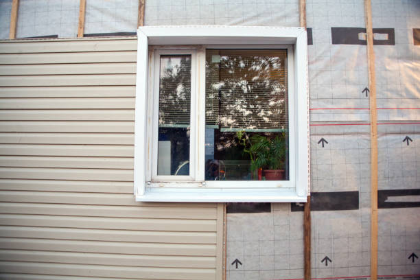 Best Custom Trim and Detailing for Siding  in Martha Lake, WA